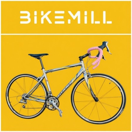 Brukt landeveissykkel Giant OCR2 - XS (50cm)